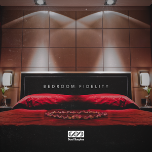 Bedroom Fidelity: Lo-Fi Hip-Hop (Sample Pack)